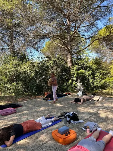 Sesión de meditación al aire libre bajo los pinos