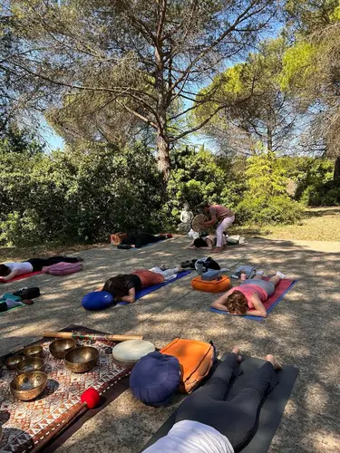 Sesión grupal al aire libre en bosque con participantes relajados